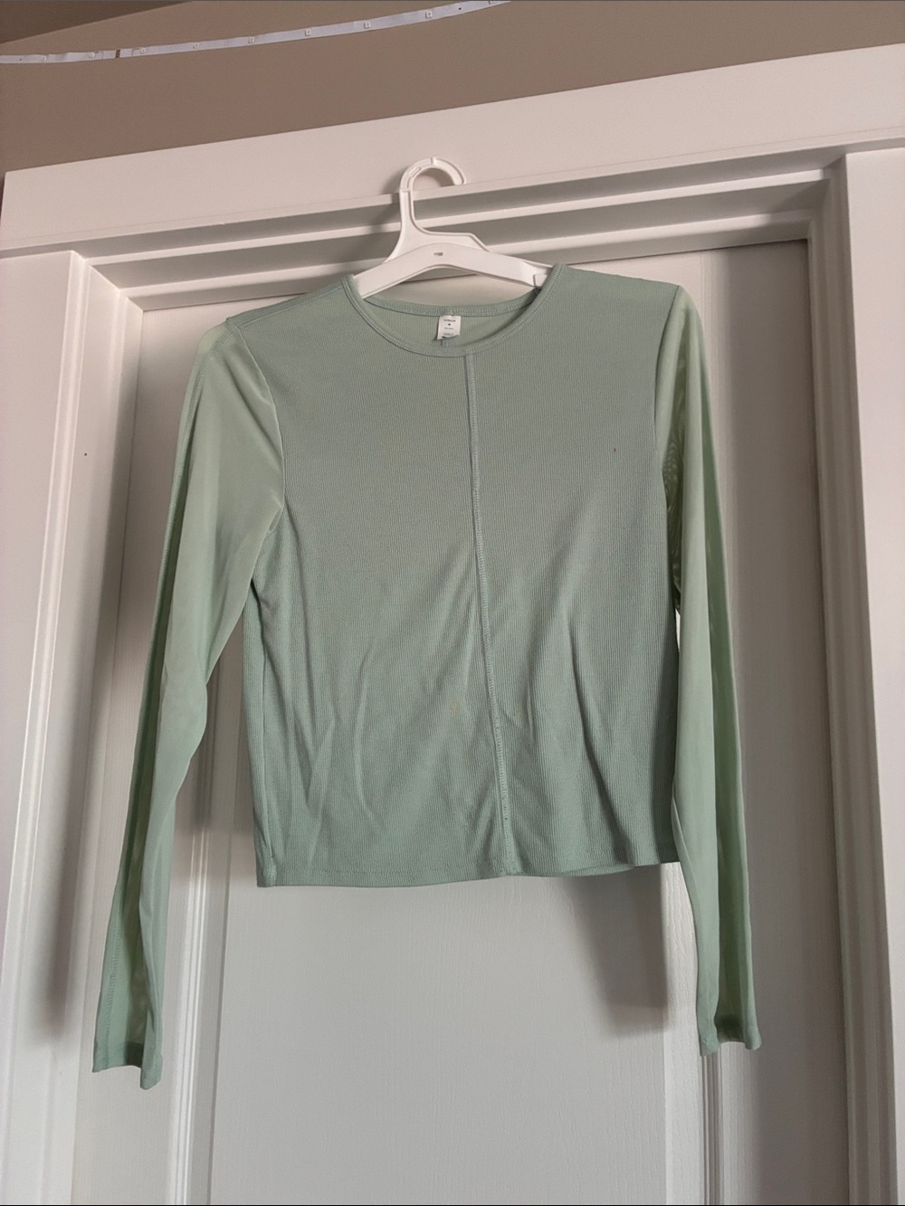 Long-Sleeve Crewneck Top in Light Sage